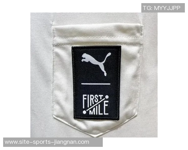 全球顶尖运动品牌的魅力与影响力探讨